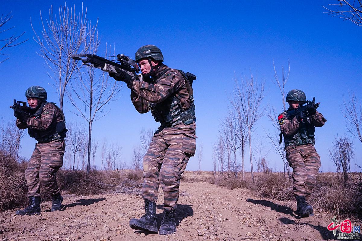 包含中国队鏖战日本队，安赛龙惊艳四座的词条