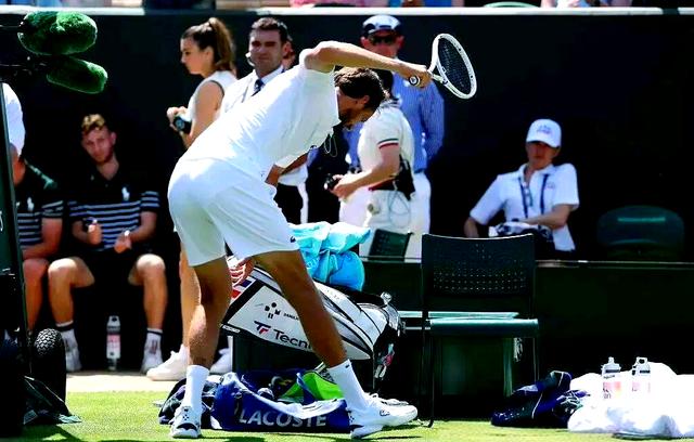 开云体育平台APP-澳网轻取温网，西西帕斯点燃赛场